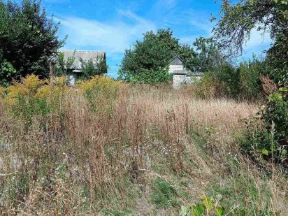 Земельна ділянка в садовому товаристві Канев