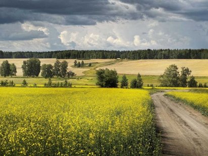 Продам паї 10 га Канев