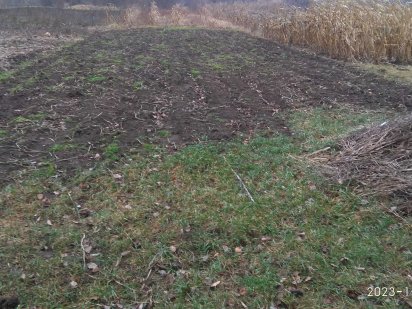 земельна ділянка під садівництво