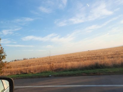 Земля під забудову в центрі міста Конотоп