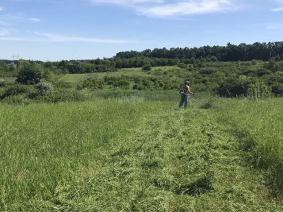 Земля 12 соток Кам'янець-Подільський