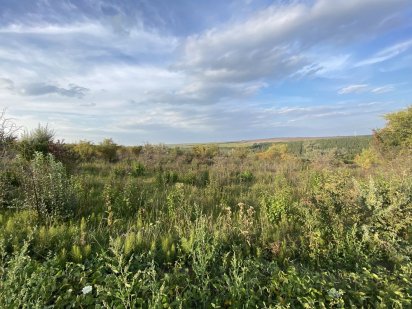 Ділянка для індивідуального садівництва, дачі, садового будинку Кам'янець-Подільський