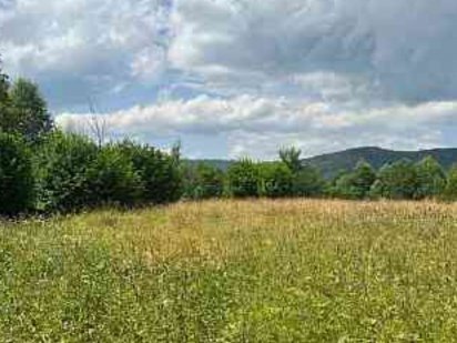 ЗЕМЕЛЬНА ділянка під забудову житлового будинку Кам'янець-Подільський