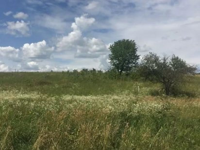 Ділянка під забудову с. Довжок 15с. Кам'янець-Подільський