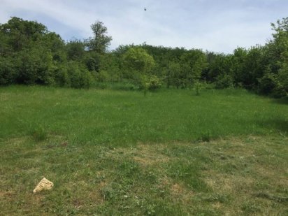 продам земельну ділянку Коростышев