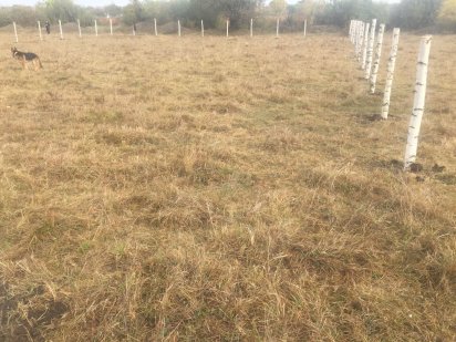 Ділянка для забудови Коростень