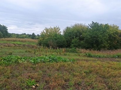 Продається земельна ділянка. Кам'янець-Подільський