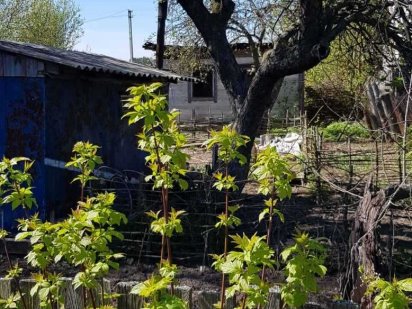 Продаю Земельну ділянку під будівництво Коростень