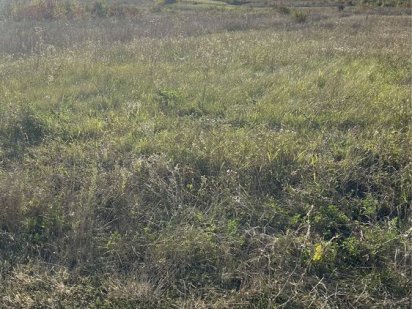 Рівна велика Земельна ділянка Кам'янець-Подільський