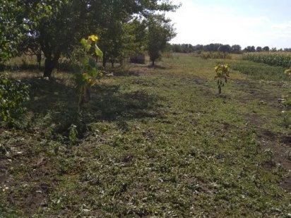 Продам приватизированный участок земли 0.25га. Берестин