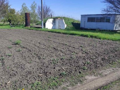 Участок 0.25га (свет, погреб, колодец, вагончик, бочка для полива) Берестин