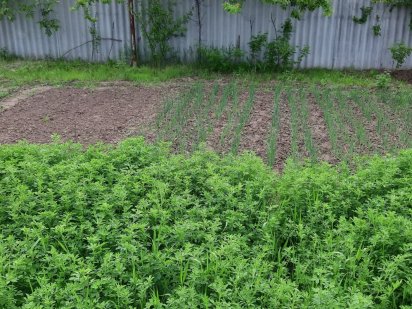 Продам земельну ділянку Люботин