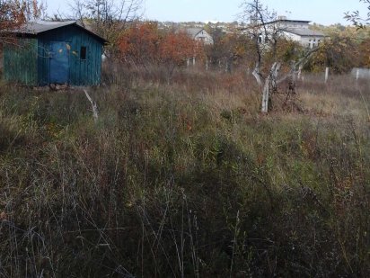 Дачный участок в Люботине Люботин