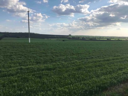 Земля ОСГ под любой вид деятельности Лозовая