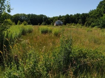 Земельна ділянка, місто Лубни Лубни