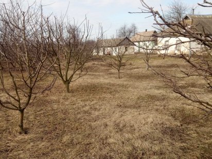 Продається дворище Лубны