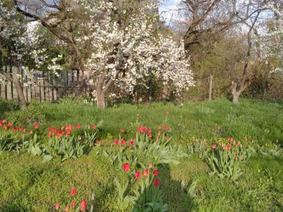 Продам земельну ділянку (дачу) Лубни
