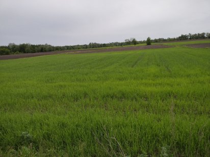 Продам земельний пай Лубни