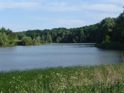 Земельна ділянка 0,25 га - під будівництво Лубни