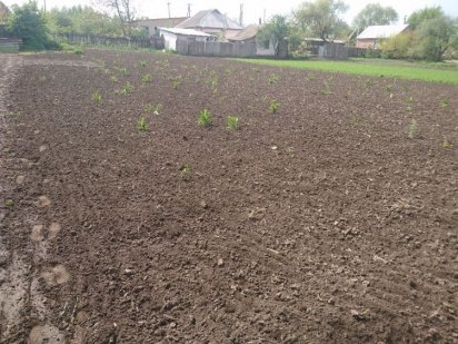 Продаж земельної ділянки під забудову по вул. Зінчаші (торг) Миргород