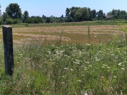 Участок под застройку Ніжин