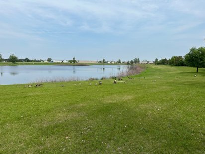 Продам земельну ділянку Мукачево