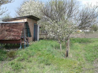 Продам дачу 10 соток з будиночком і бесідкою Нежин