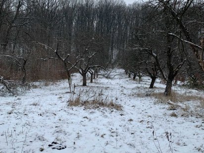 Продам екслюзивний  участок біля лісу під забудову 0.27 га Мукачево