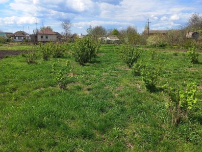 Земельна ділянка 6,5 соток Ніжин