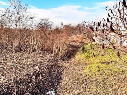 Продаж землі 0,2853 га, м. Мукачево, вул. Крилова Миколи Мукачево