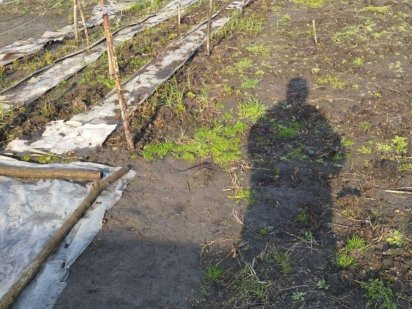 Участок під забудову Ніжин