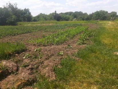 Продам приватизовану дачну ділянку під забудову Нежин