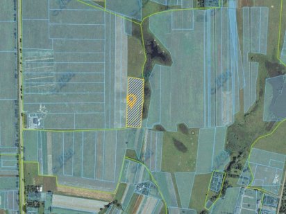 Продаж, обмін ділянки із ставом біля Нововолинська Нововолынск