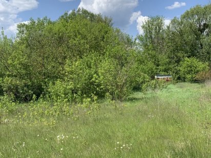 Земельна ділянка Трипілля, с. Рудики Обухів