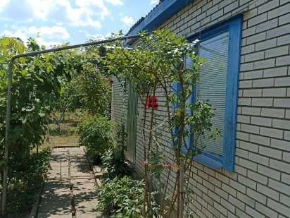 Дачна ділянка з будинком літнього типу Новодністровськ