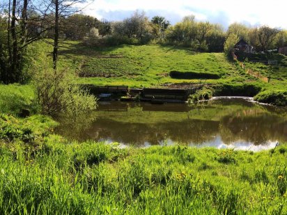 Люблю, когда ночью поют соловьи - я под них хорошо засыпаю...