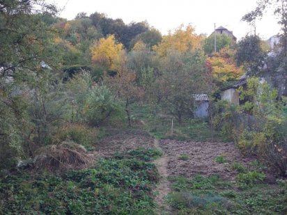 Продається дачна земельна ділянка Мукачеве