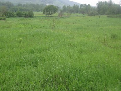 Земельна ділянка 3.06 га в курортній зоні Закарпаття сан.Синяк Мукачево