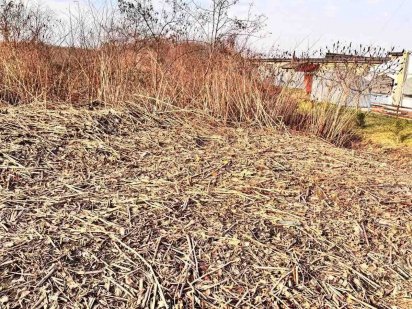 Земельна ділянка (0,2853га) - м. Мукачево Мукачево