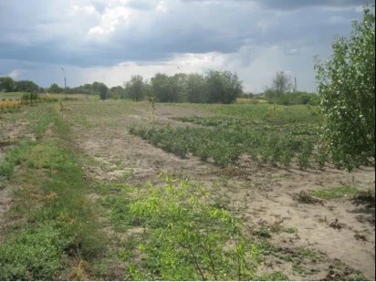 Продам участок на Решкуте Самар