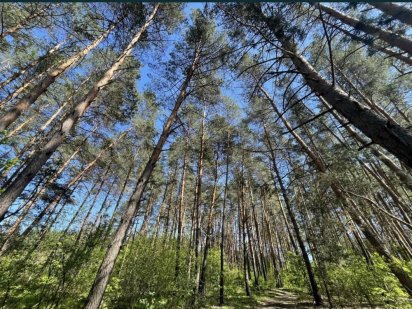 Продаж земельної ділянки в Козині (Конча Заспа) з виходом до річки