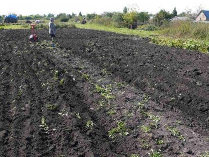 продам участок землі 6.8 сотки Дзюбівка Молодіжна Обухів