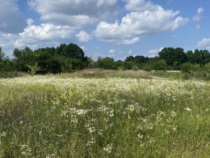 Земельна ділянка (площа 4.2)