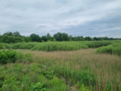 Продаж земельних ділянок