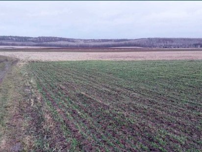 Продам земельну ділянку 1.99 га в Обухівський районі