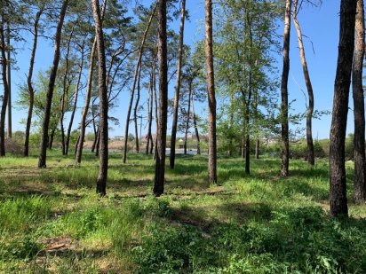 Продам участок с берегом реки Самар