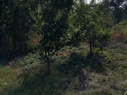 Продаю участок под застройку, район Острова. Возможен обмен. 25.08.24. Самар