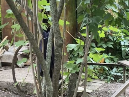 Ділянка 12,5 сот. м. Обухів, ж-м Лукавиця.