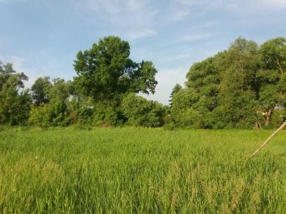 Продаж ділянки 8 соток Рудики  Обухівський рн