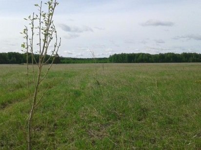 Продам земельні паї Павлоград